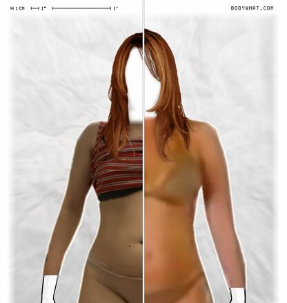Torso Comparison