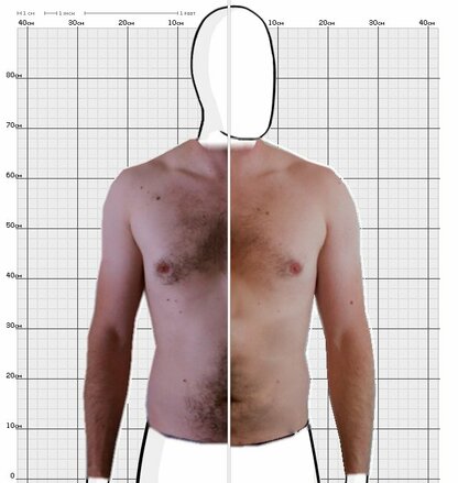 Torso Comparison