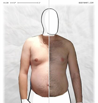 Torso Comparison