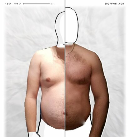 Torso Comparison