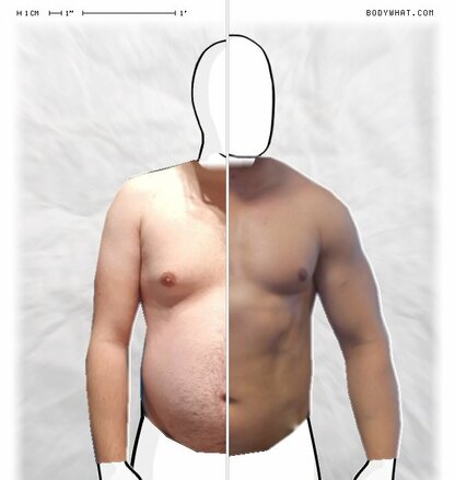 Torso Comparison