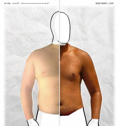 Torso Comparison