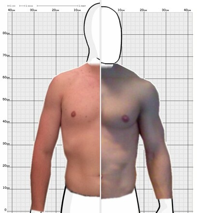Torso Comparison
