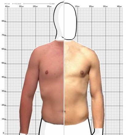 Torso Comparison