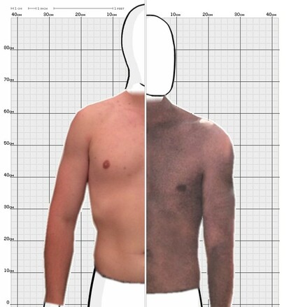 Torso Comparison