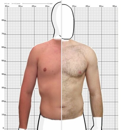 Torso Comparison