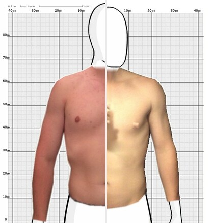 Torso Comparison