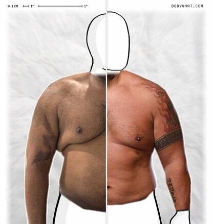 Torso Comparison