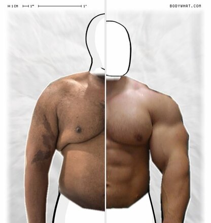 Torso Comparison