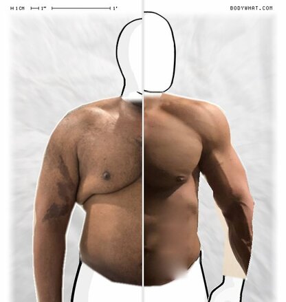 Torso Comparison