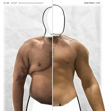 Torso Comparison