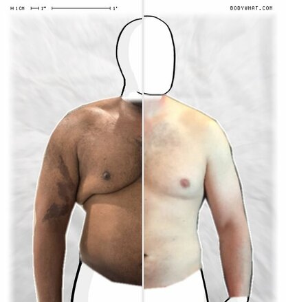 Torso Comparison