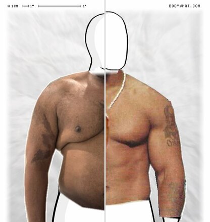 Torso Comparison
