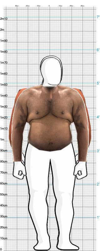 Full Size Comparison