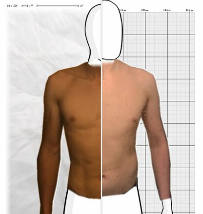 Torso Comparison