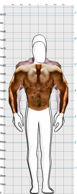 Full Size Comparison