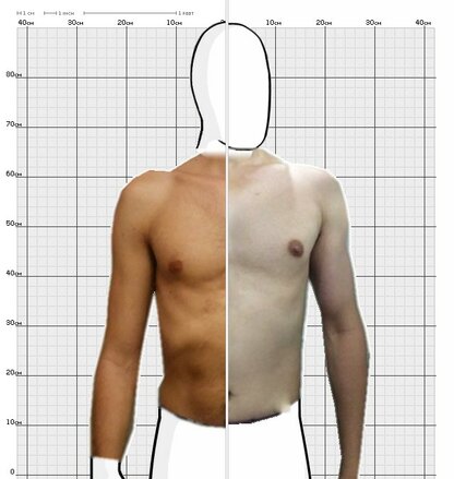 Torso Comparison