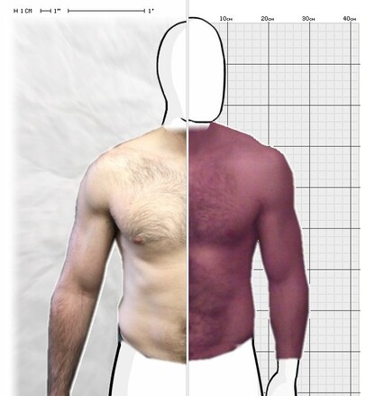 Torso Comparison