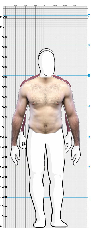 Full Size Comparison