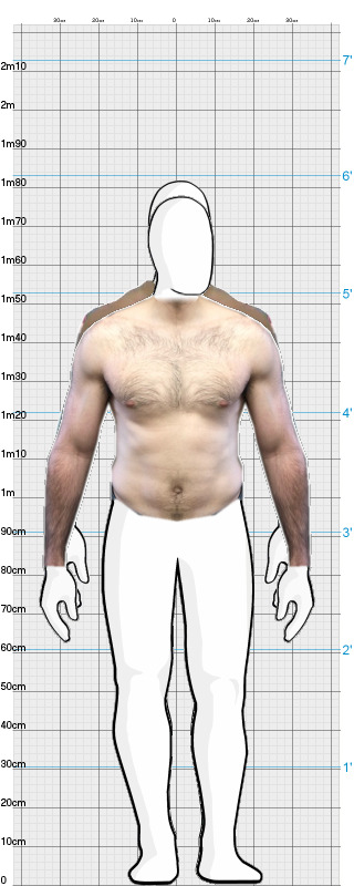 Full Size Comparison