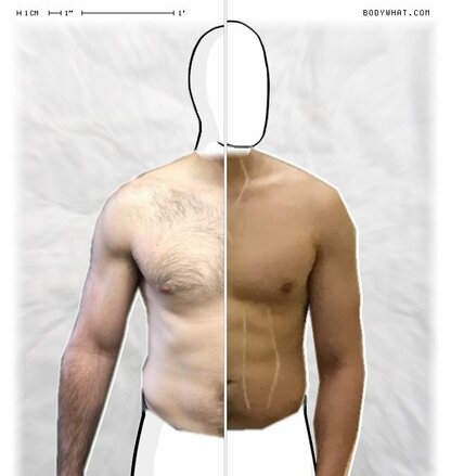 Torso Comparison