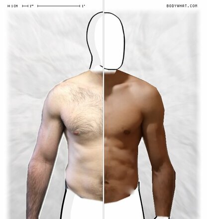 Torso Comparison