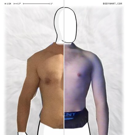 Torso Comparison