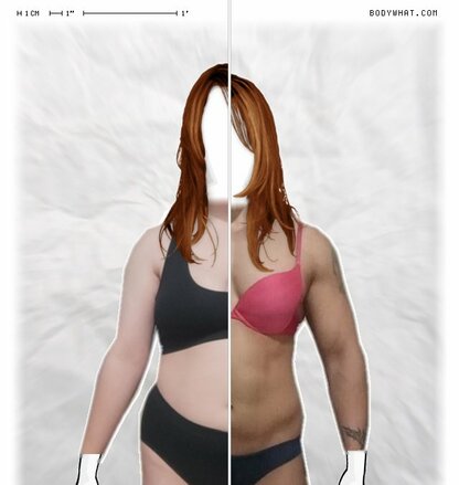 Torso Comparison