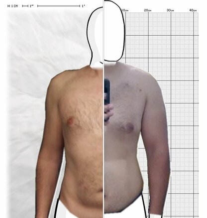 Torso Comparison