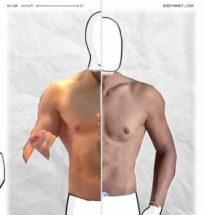 Torso Comparison