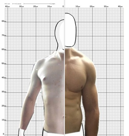 Torso Comparison