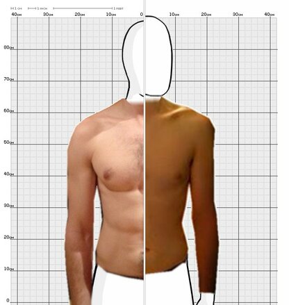 Torso Comparison