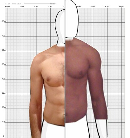 Torso Comparison