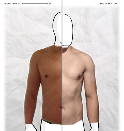 Torso Comparison