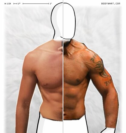 Torso Comparison
