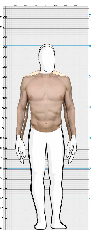 Full Size Comparison
