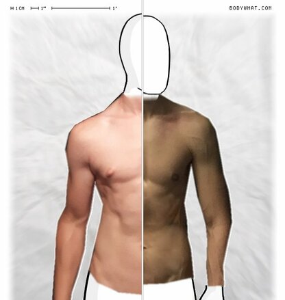 Torso Comparison