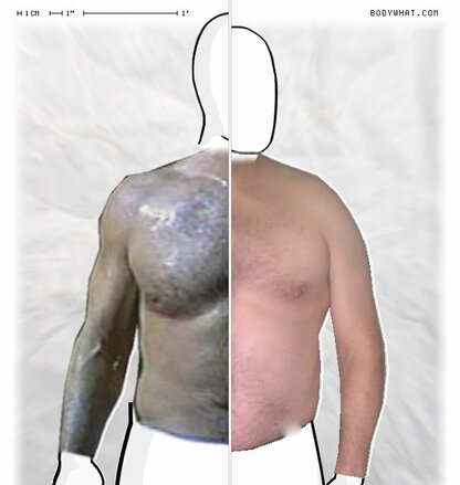 Torso Comparison