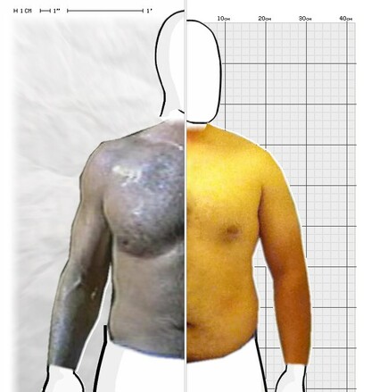 Torso Comparison