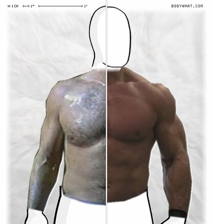 Torso Comparison