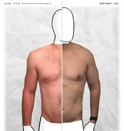 Torso Comparison