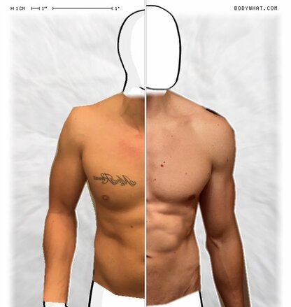 Torso Comparison