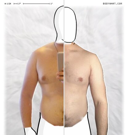 Torso Comparison