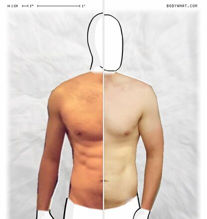 Torso Comparison