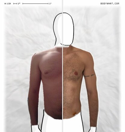 Torso Comparison