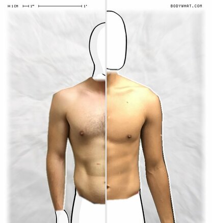 Torso Comparison