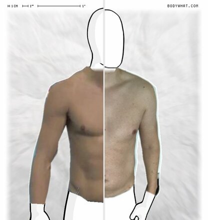 Torso Comparison