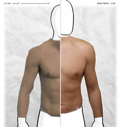 Torso Comparison