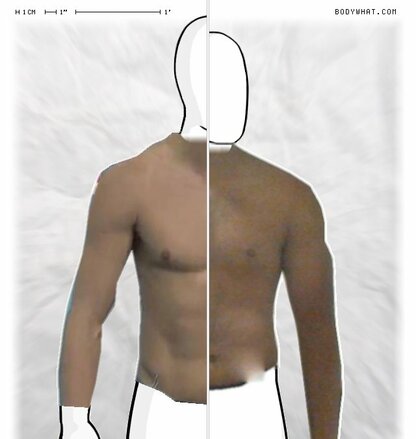 Torso Comparison