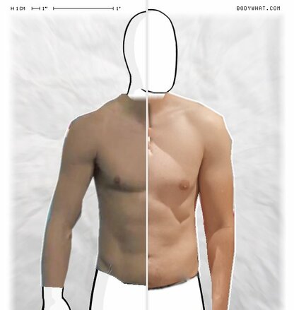 Torso Comparison